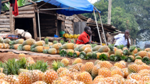 Ananas au marché