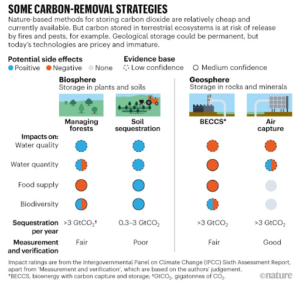 Nature Quelques stratégies d'élimination du carbone